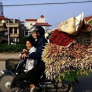 回国后我才敢说：越南是我去过的所有国家中，最被低估的